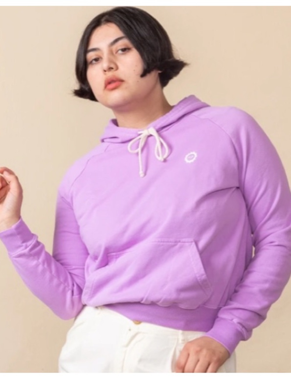 Big Bud Press Lightweight Hoodie Small Lilac Purple